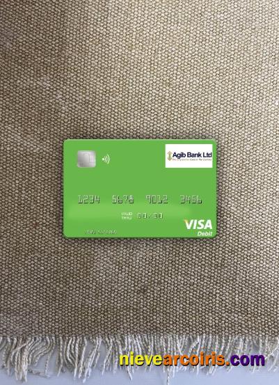 Gambia Arab Gambia Islamic Bank visa debit card photolook